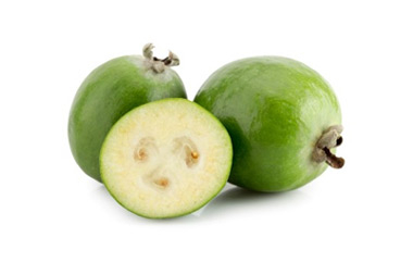 NEW ZEALAND FEIJOA