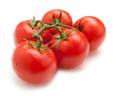 NEW ZEALAND VINE RIPE TOMATOES