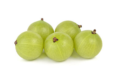 NEW ZEALAND GOOSEBERRIES